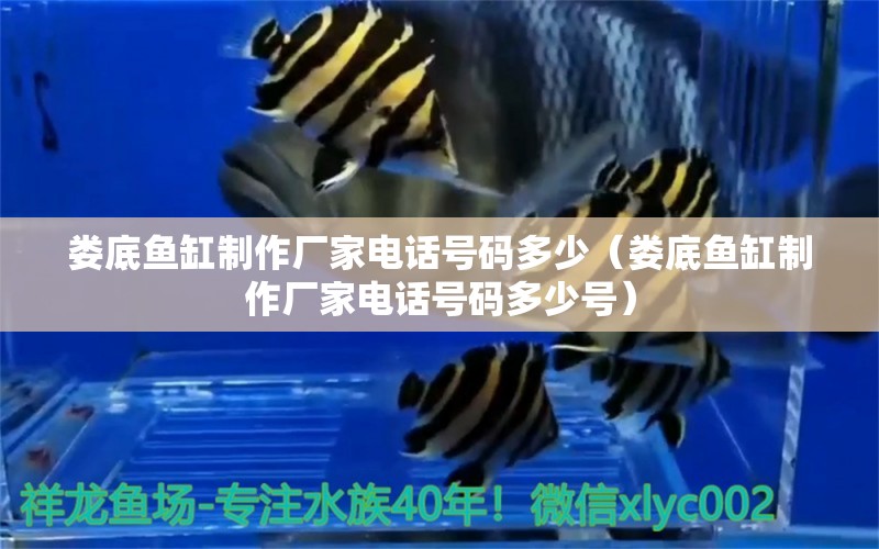 婁底魚缸制作廠家電話號碼多少（婁底魚缸制作廠家電話號碼多少號）