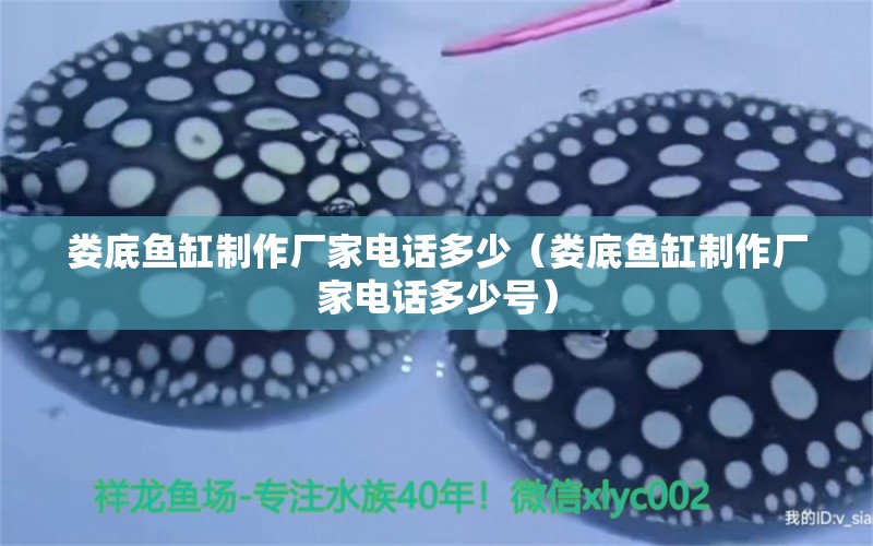 婁底魚缸制作廠家電話多少（婁底魚缸制作廠家電話多少號(hào)）