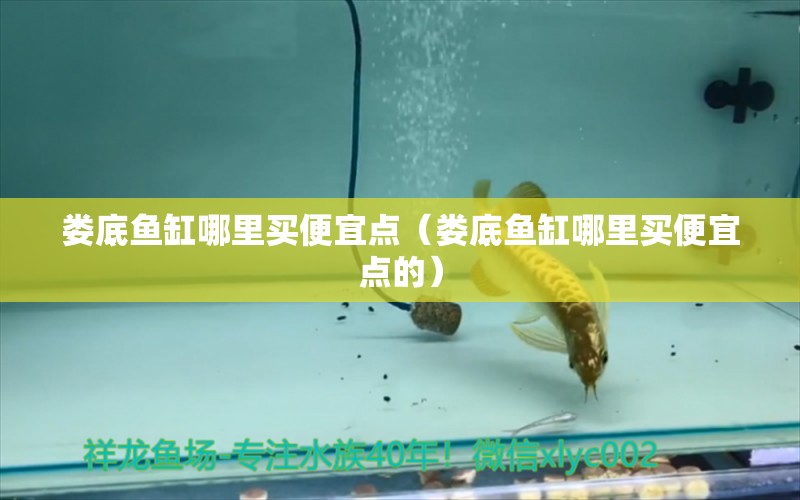 婁底魚缸哪里買便宜點（婁底魚缸哪里買便宜點的）