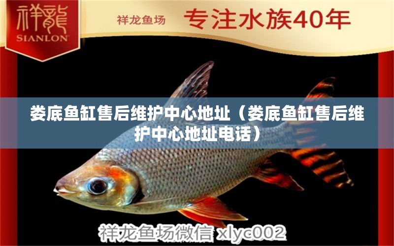 婁底魚缸售后維護中心地址（婁底魚缸售后維護中心地址電話）