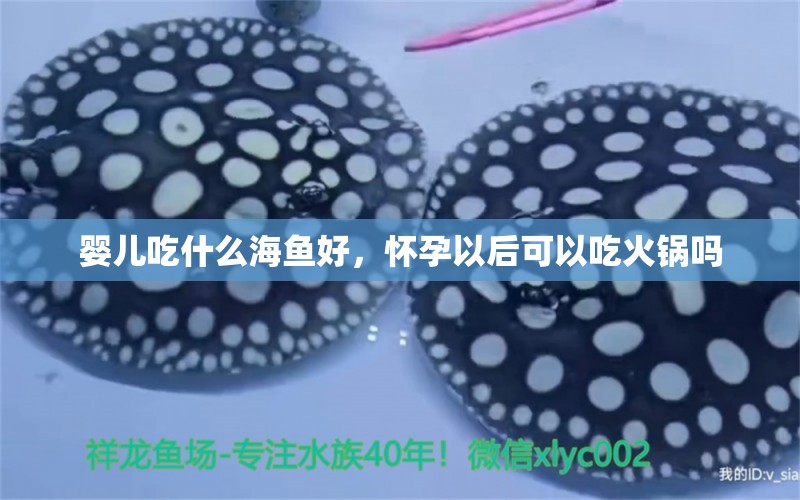 嬰兒吃什么海魚好，懷孕以后可以吃火鍋嗎