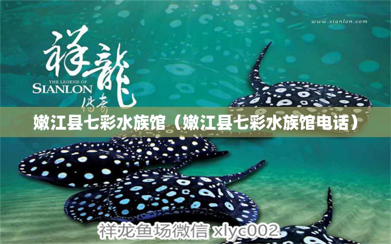 嫩江縣七彩水族館（嫩江縣七彩水族館電話）