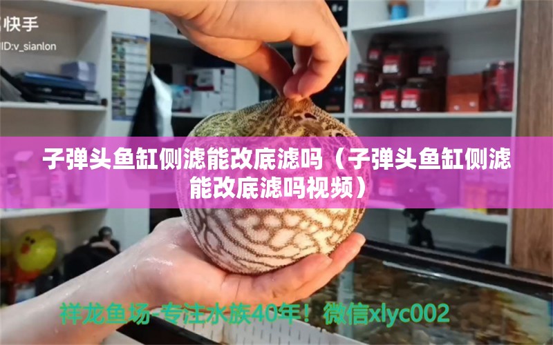 子彈頭魚缸側(cè)濾能改底濾嗎（子彈頭魚缸側(cè)濾能改底濾嗎視頻） 祥龍水族醫(yī)院