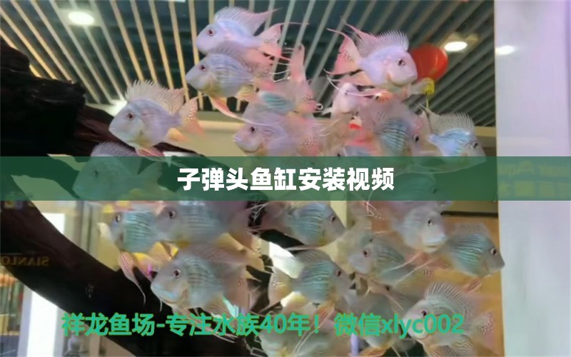 子彈頭魚缸安裝視頻 森森魚缸