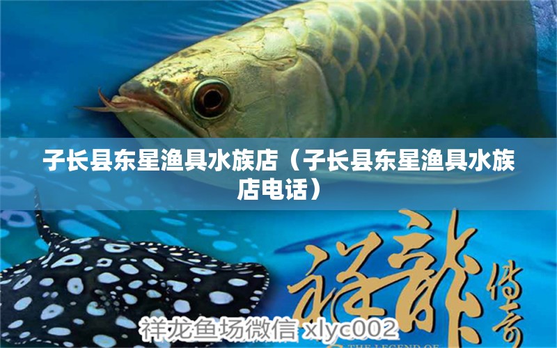 子長縣東星漁具水族店（子長縣東星漁具水族店電話）