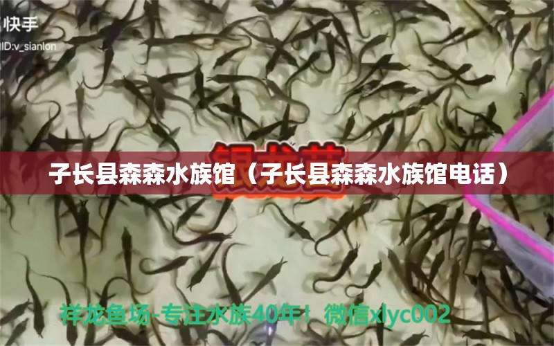 子長(zhǎng)縣森森水族館（子長(zhǎng)縣森森水族館電話(huà)）