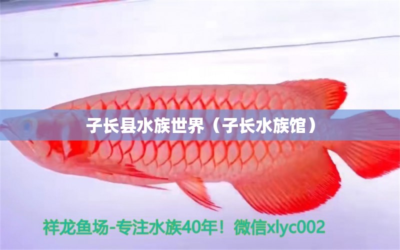 子長縣水族世界（子長水族館）