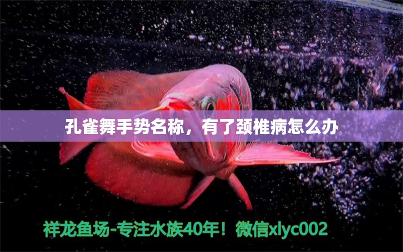 孔雀舞手勢名稱，有了頸椎病怎么辦 觀賞魚 第2張