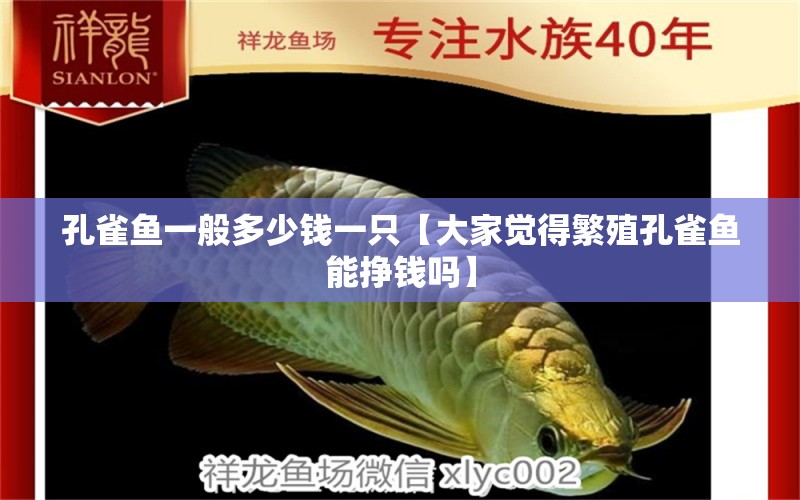 孔雀魚一般多少錢一只【大家覺得繁殖孔雀魚能掙錢嗎】 龍魚批發(fā)