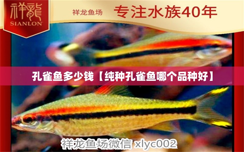 孔雀魚多少錢【純種孔雀魚哪個(gè)品種好】