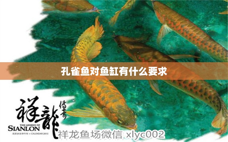 孔雀魚對魚缸有什么要求