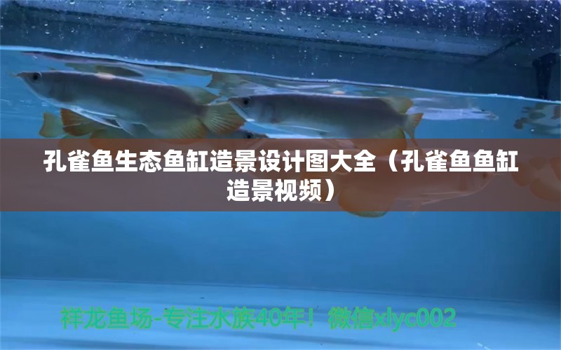 孔雀魚(yú)生態(tài)魚(yú)缸造景設(shè)計(jì)圖大全（孔雀魚(yú)魚(yú)缸造景視頻） 觀賞魚(yú)批發(fā)