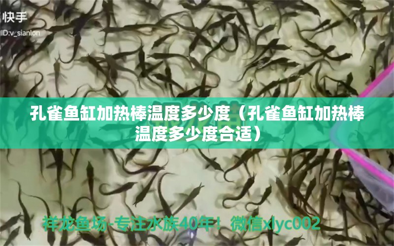 孔雀魚缸加熱棒溫度多少度（孔雀魚缸加熱棒溫度多少度合適）