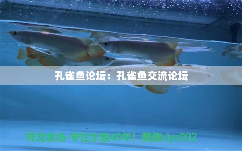 孔雀魚論壇：孔雀魚交流論壇