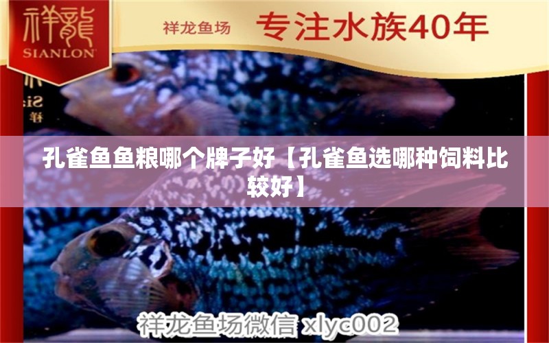 孔雀魚魚糧哪個牌子好【孔雀魚選哪種飼料比較好】 龍魚批發(fā)