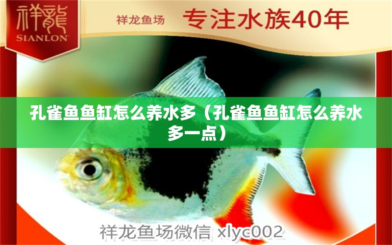 孔雀魚魚缸怎么養(yǎng)水多（孔雀魚魚缸怎么養(yǎng)水多一點） 祥龍水族醫(yī)院