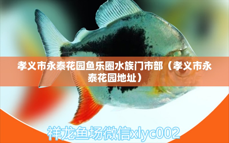 孝義市永泰花園魚樂圈水族門市部（孝義市永泰花園地址）