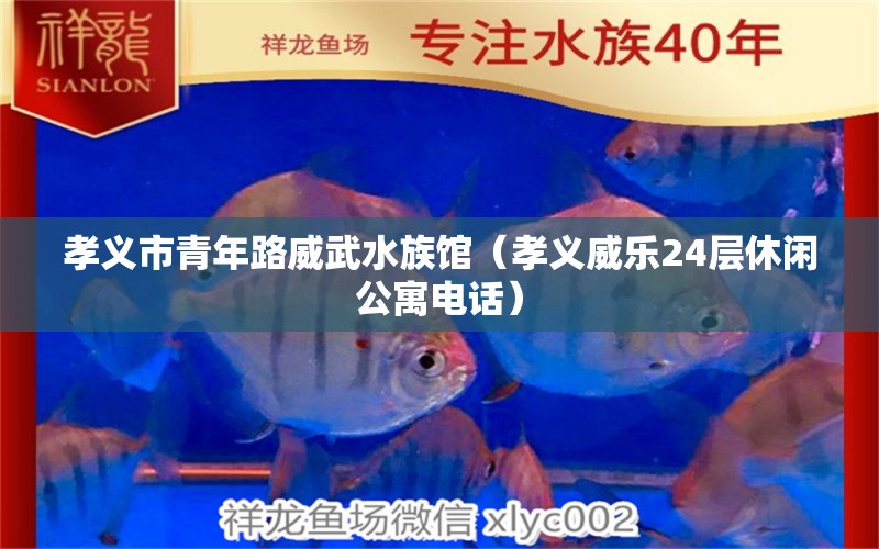 孝義市青年路威武水族館（孝義威樂24層休閑公寓電話）