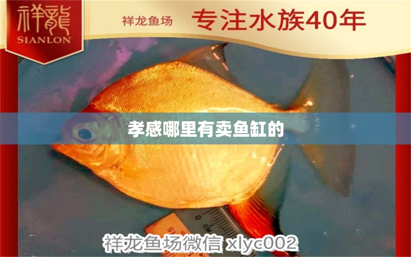 孝感哪里有賣魚(yú)缸的