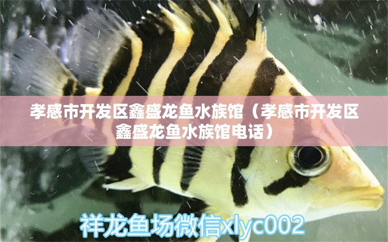 孝感市開發(fā)區(qū)鑫盛龍魚水族館（孝感市開發(fā)區(qū)鑫盛龍魚水族館電話） 全國水族館企業(yè)名錄