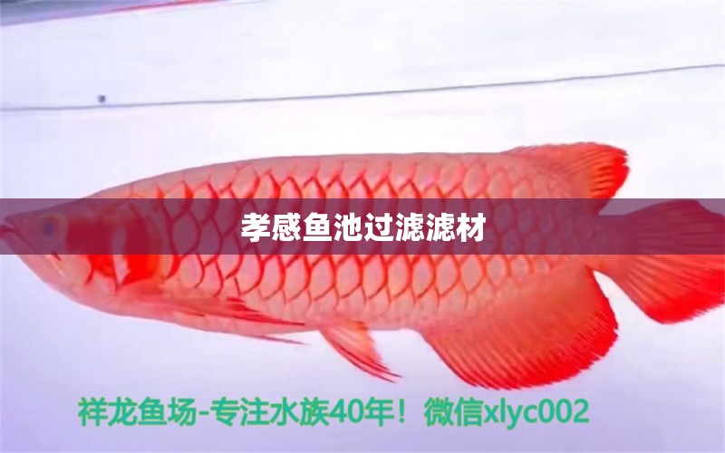 孝感魚(yú)池過(guò)濾濾材