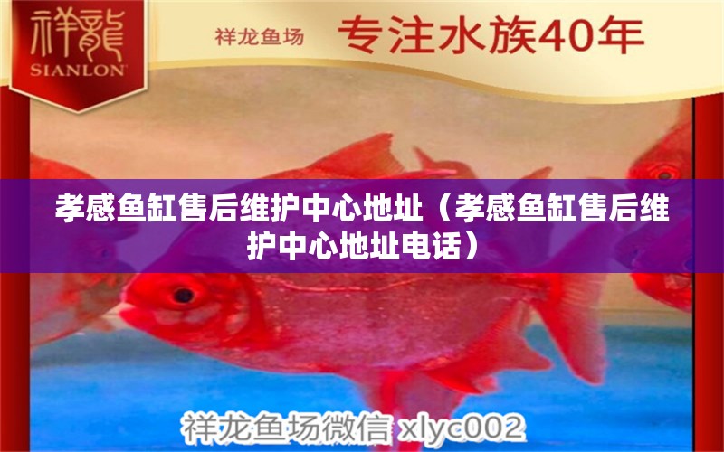 孝感魚缸售后維護中心地址（孝感魚缸售后維護中心地址電話）