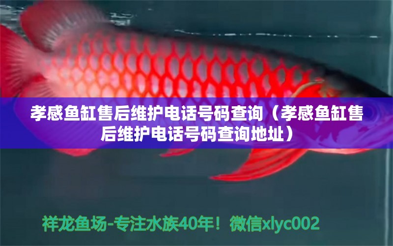 孝感魚缸售后維護電話號碼查詢（孝感魚缸售后維護電話號碼查詢地址）