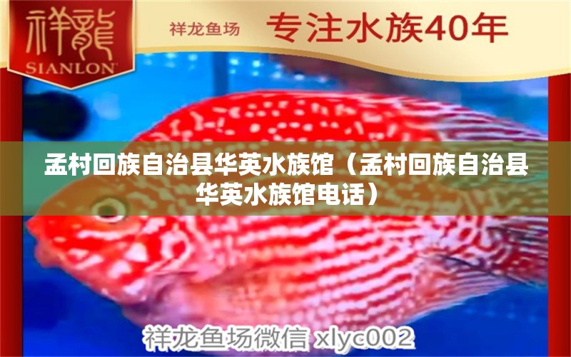 孟村回族自治縣華英水族館（孟村回族自治縣華英水族館電話）