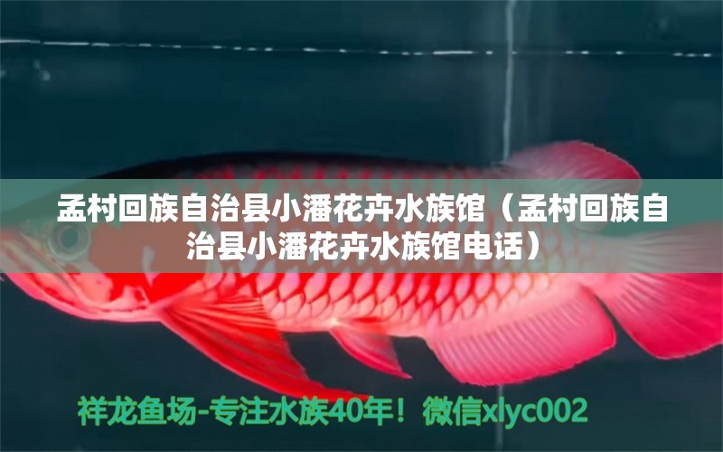 孟村回族自治縣小潘花卉水族館（孟村回族自治縣小潘花卉水族館電話）