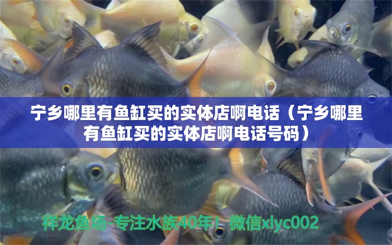 寧鄉(xiāng)哪里有魚缸買的實體店啊電話（寧鄉(xiāng)哪里有魚缸買的實體店啊電話號碼）