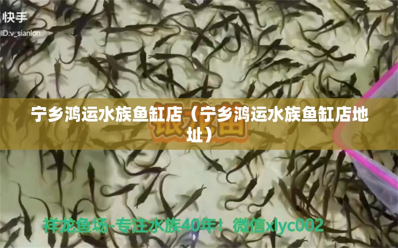 寧鄉(xiāng)鴻運(yùn)水族魚缸店（寧鄉(xiāng)鴻運(yùn)水族魚缸店地址）