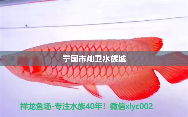 寧國市燦衛(wèi)水族城