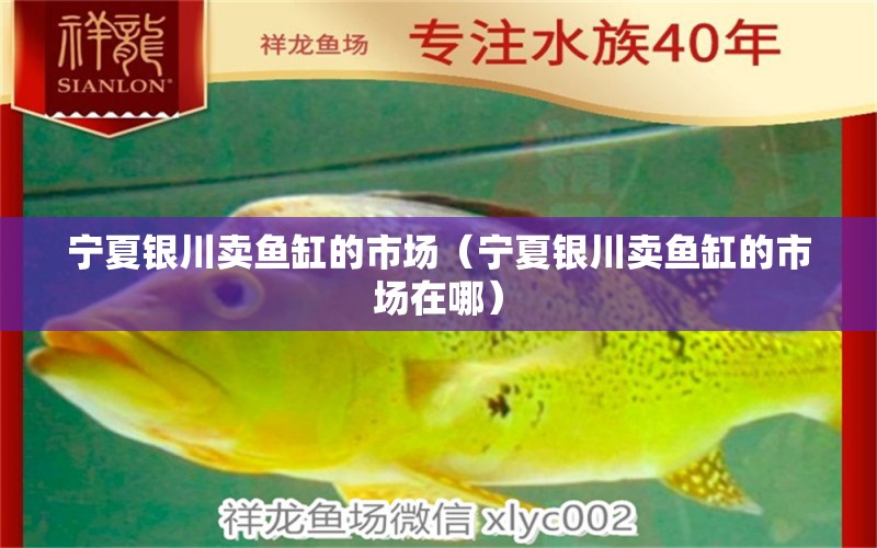 寧夏銀川賣魚缸的市場(chǎng)（寧夏銀川賣魚缸的市場(chǎng)在哪） 其他品牌魚缸