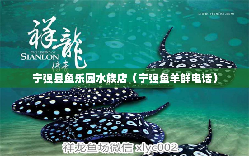 寧強縣魚樂園水族店（寧強魚羊鮮電話） 全國水族館企業(yè)名錄