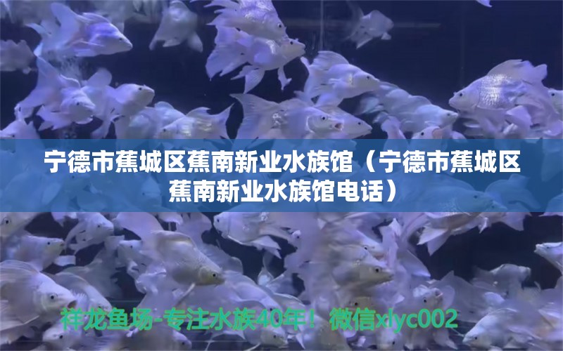 寧德市蕉城區(qū)蕉南新業(yè)水族館（寧德市蕉城區(qū)蕉南新業(yè)水族館電話）