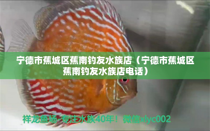 寧德市蕉城區(qū)蕉南釣友水族店（寧德市蕉城區(qū)蕉南釣友水族店電話） 垂釣樂園