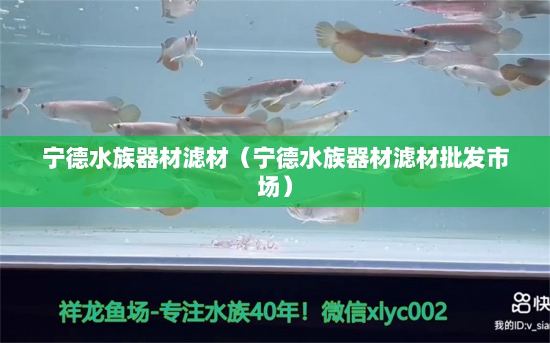 寧德水族器材濾材（寧德水族器材濾材批發(fā)市場(chǎng)） 廣州水族器材濾材批發(fā)市場(chǎng)