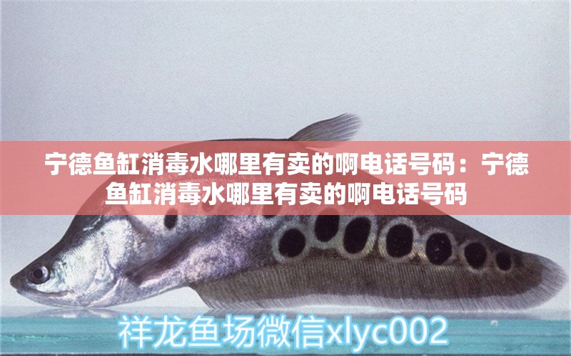 寧德魚缸消毒水哪里有賣的啊電話號碼：寧德魚缸消毒水哪里有賣的啊電話號碼 觀賞魚市場（混養(yǎng)魚）