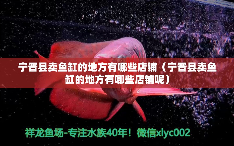 寧晉縣賣魚缸的地方有哪些店鋪（寧晉縣賣魚缸的地方有哪些店鋪呢）