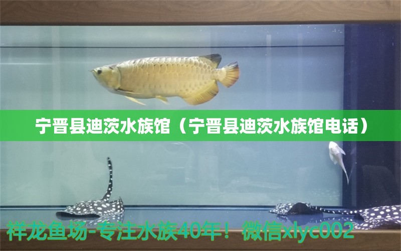 寧晉縣迪茨水族館（寧晉縣迪茨水族館電話）