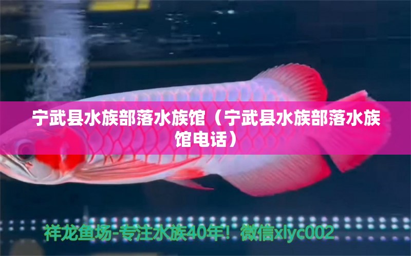 寧武縣水族部落水族館（寧武縣水族部落水族館電話） 全國水族館企業(yè)名錄