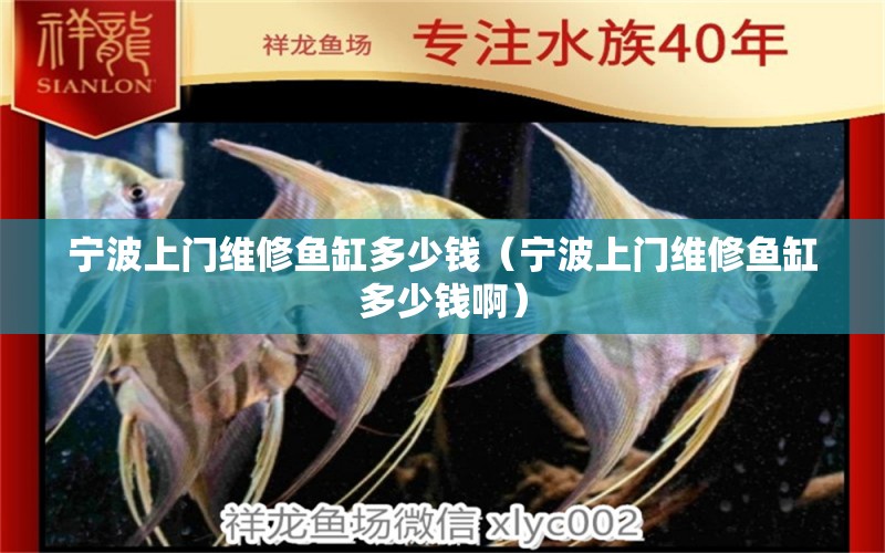 寧波上門維修魚(yú)缸多少錢（寧波上門維修魚(yú)缸多少錢?。?其他品牌魚(yú)缸