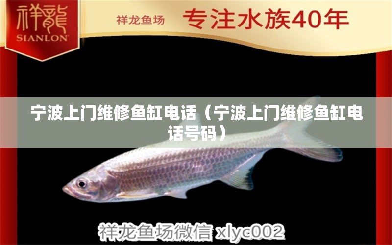 寧波上門維修魚缸電話（寧波上門維修魚缸電話號碼）