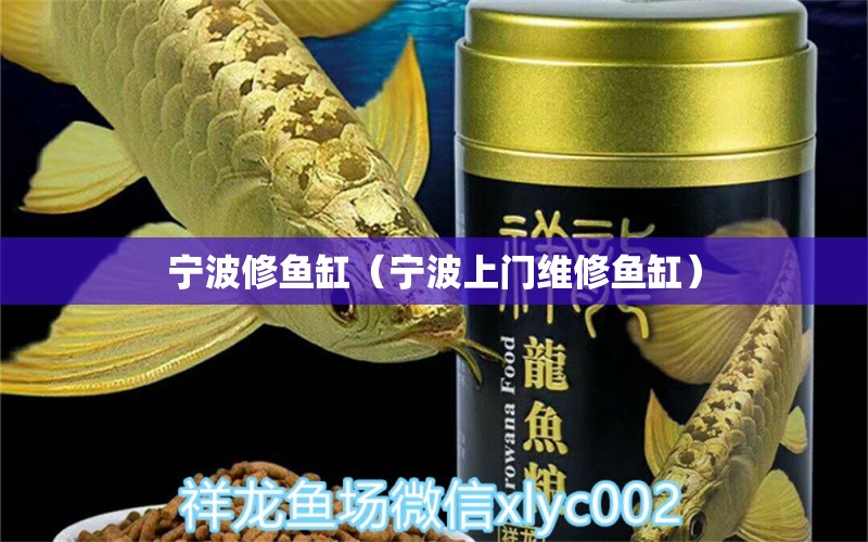 寧波修魚缸（寧波上門維修魚缸）