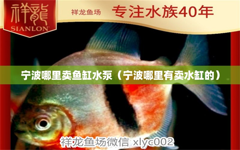 寧波哪里賣魚缸水泵（寧波哪里有賣水缸的）