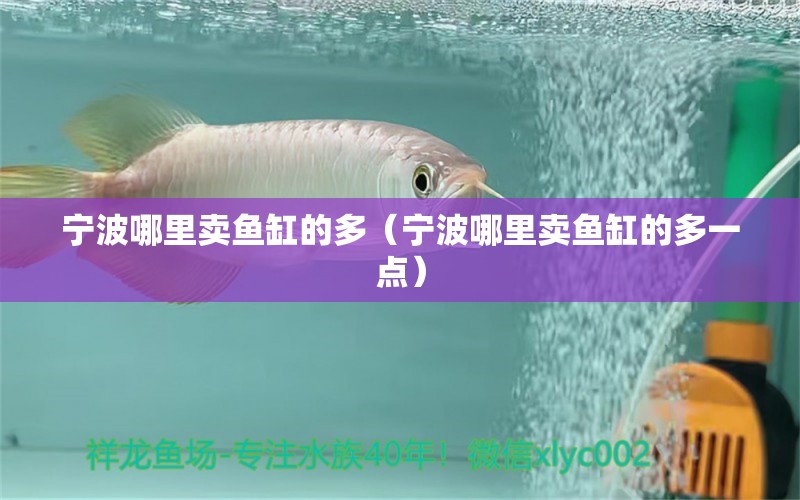 寧波哪里賣魚缸的多（寧波哪里賣魚缸的多一點）