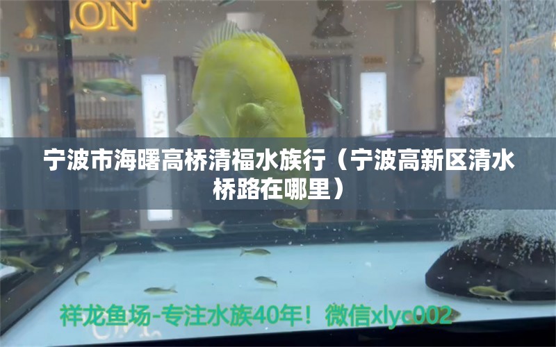 寧波市海曙高橋清福水族行（寧波高新區(qū)清水橋路在哪里）