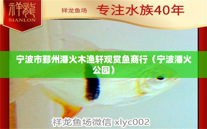 寧波市鄞州潘火木漁軒觀賞魚商行（寧波潘火公園）