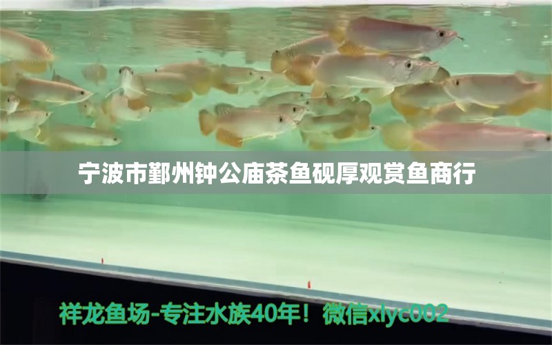 寧波市鄞州鐘公廟茶魚硯厚觀賞魚商行 全國水族館企業(yè)名錄