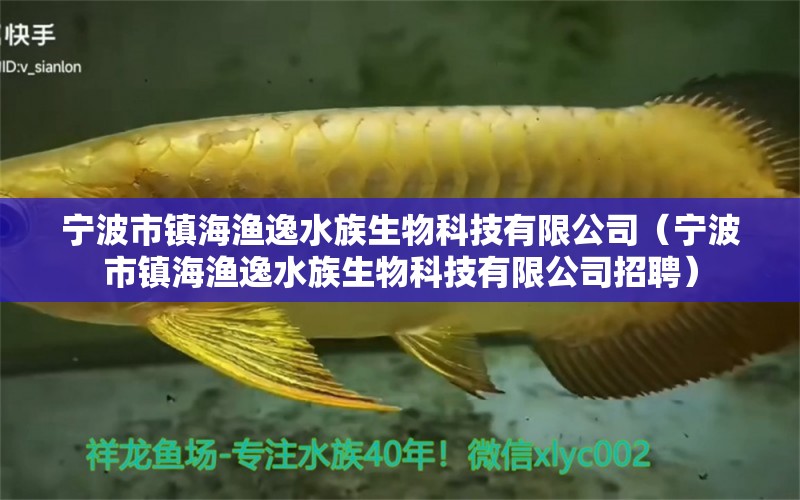 寧波市鎮(zhèn)海漁逸水族生物科技有限公司（寧波市鎮(zhèn)海漁逸水族生物科技有限公司招聘）